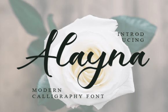 Alayna: The Script Font That Elevates Your Brand