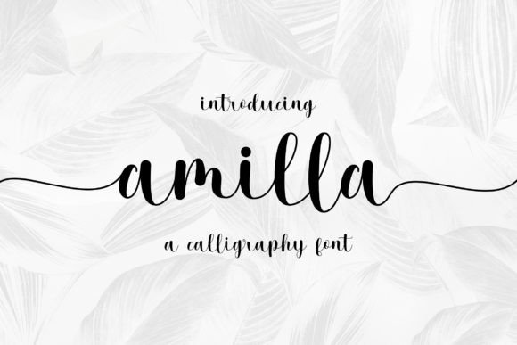 Amilla Font: Elevate Your Brand with Handwritten Style