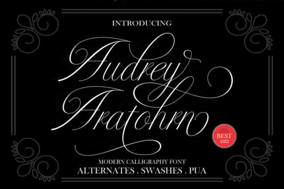 Audrey Aratohrn: Elegant Script Font Review