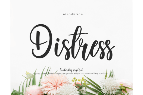 Distress: A Handwritten Font for Modern Branding