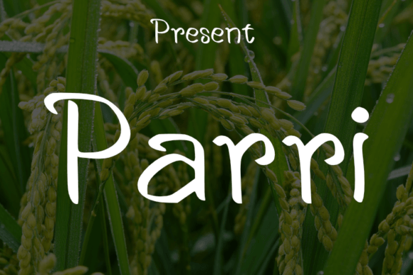 Parri Font Review: Elevating Handmade Branding