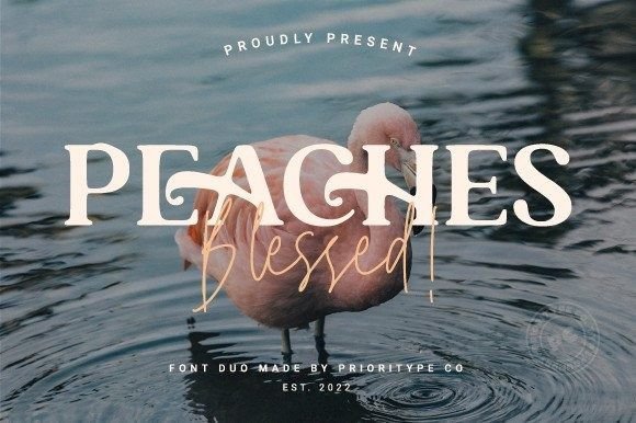 Peaches Blessed Duo: A Premium Serif Font for Marketers
