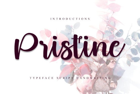 Pristine Font Review for Modern Campaigns